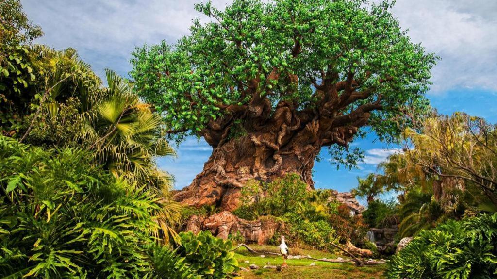 Disney'S All-Star Sports Resort Celebration Eksteriør billede